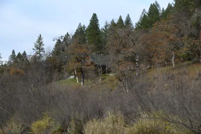 DSC_0222 (Large).JPG